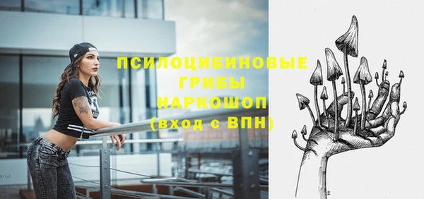 СК Абинск