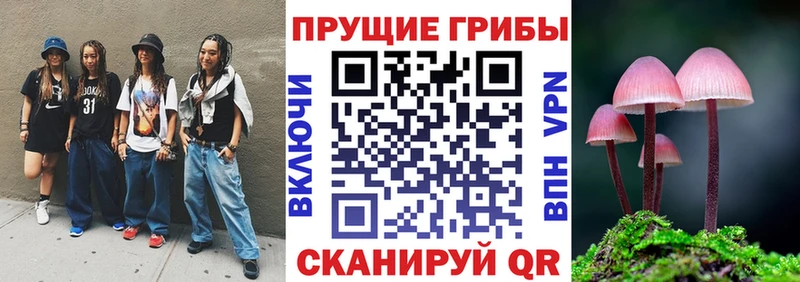Псилоцибиновые грибы мицелий Райчихинск